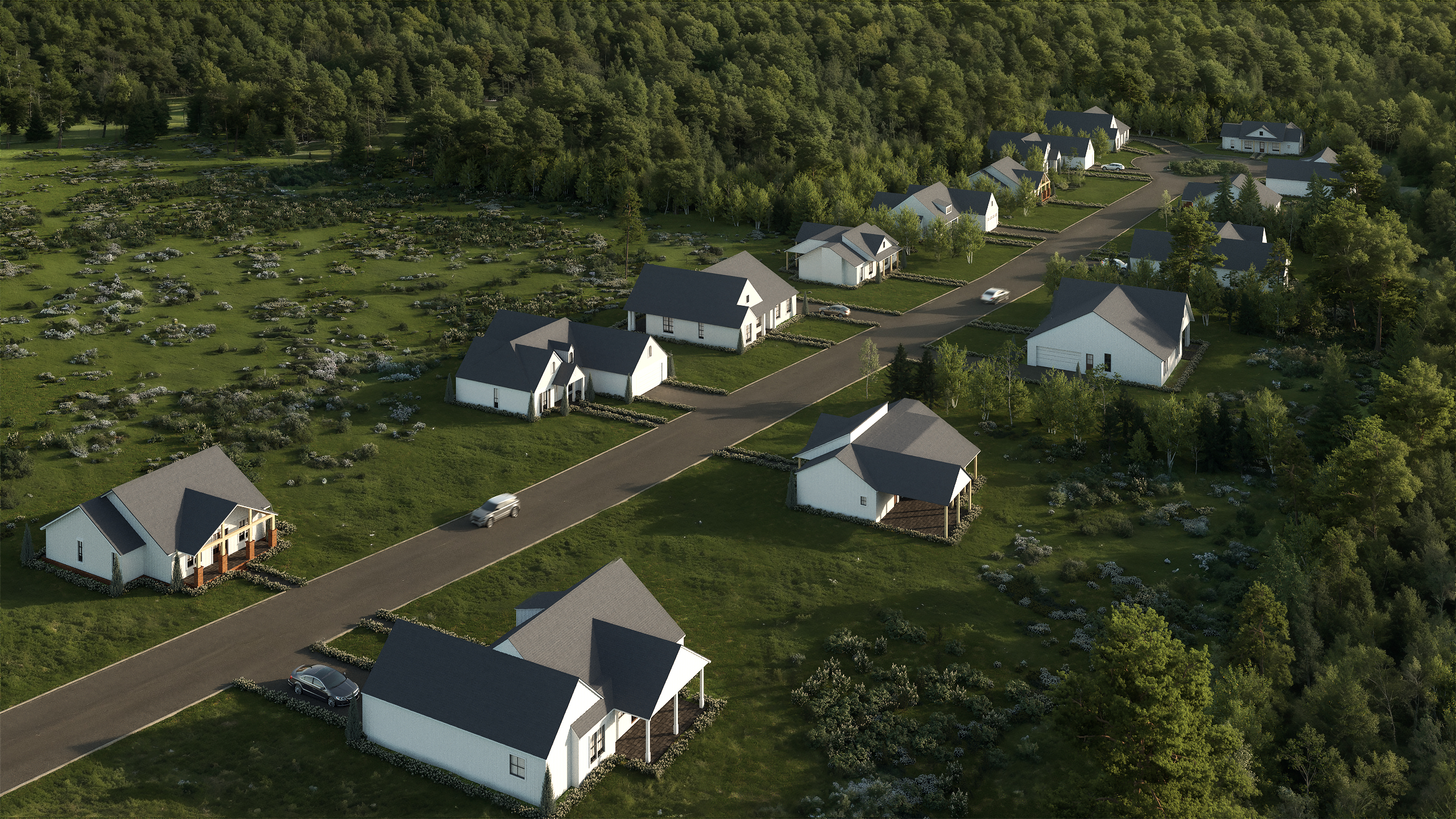 Hawk's Landing — Full subdivision, aerial massing
